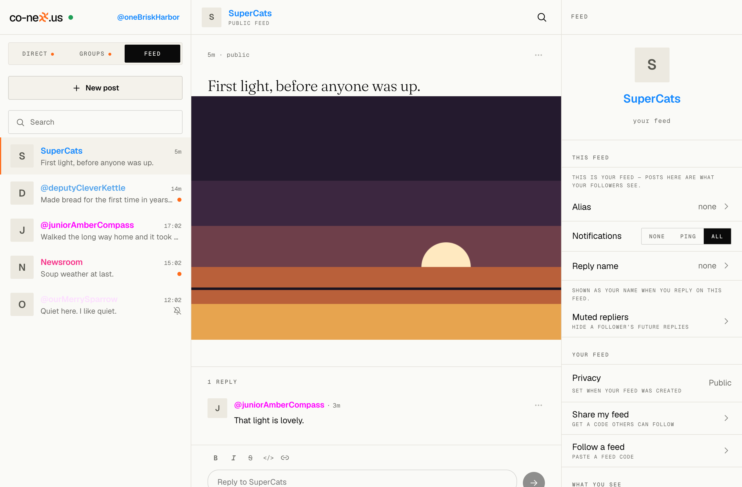 co-nexx.us desktop app, Feed mode: a public feed with posts and replies